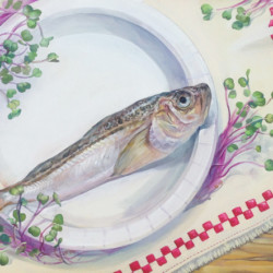 東京藝術大学デザイン科 平面構成 モチーフ:貝割れ大根、紙皿、任意のテーブルクロス、ハタハタ 使用画材:アクリスガッシュ (在校生徒作品)