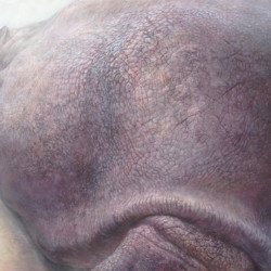 動物園実習(カバ) 在校生徒作品