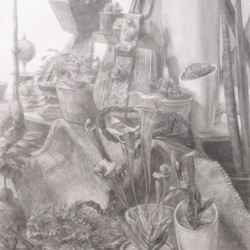 大型モチーフ静物デッサン 在校生徒作品