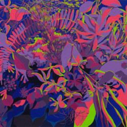 私大系平面構成