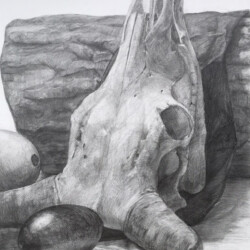 【自由制作科】2021長岡造形大学 視覚デザイン学科 推薦方式 合格者作品 【自由制作科】2021長岡造形大学 視覚デザイン学科 推薦方式 合格者作品