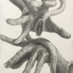 2022年度在校生徒作品 2022年度在校生徒作品