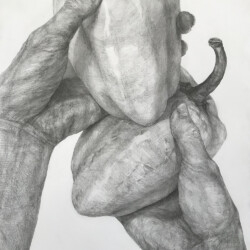 2023年度多摩美術大学統合デザイン学科合格者入試再現作品「くらべる手」(デッサン) 2023年度多摩美術大学統合デザイン学科合格者入試再現作品「くらべる手」(デッサン)